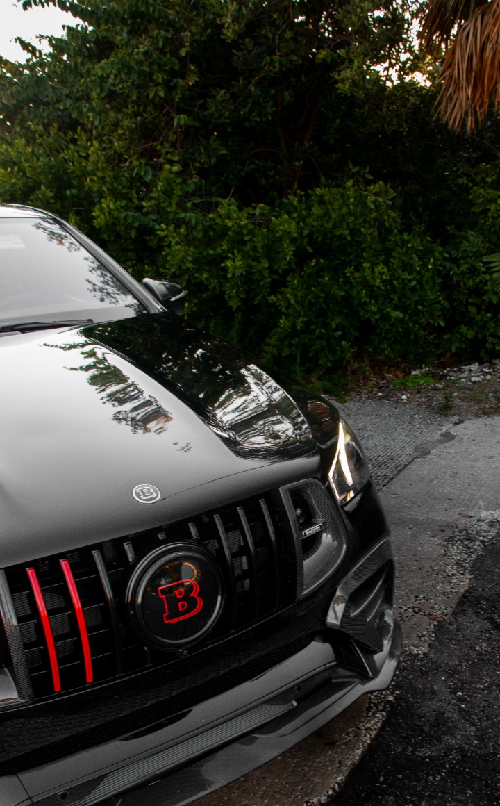 Brabus grille detail